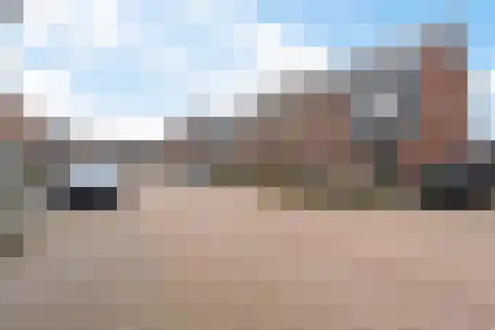 Goudreinette 9 Lith thumbnail 44