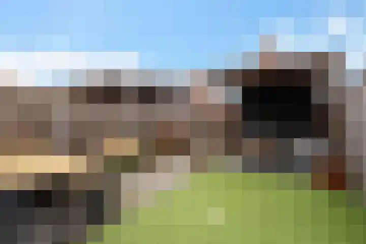 Goudreinette 9 Lith thumbnail 5