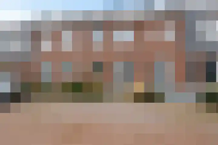 Goudreinette 9 Lith thumbnail 6