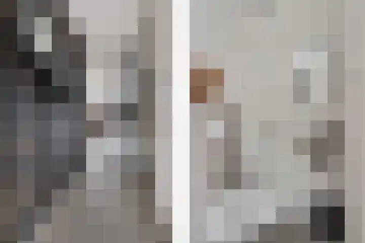 Goudreinette 9 Lith thumbnail 7