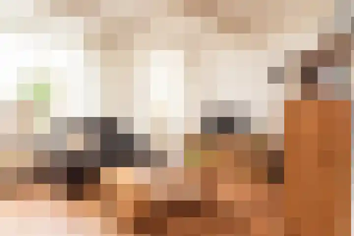 Goudrenet 1 Geldermalsen thumbnail 13
