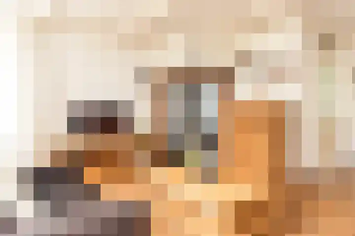 Goudrenet 1 Geldermalsen thumbnail 14