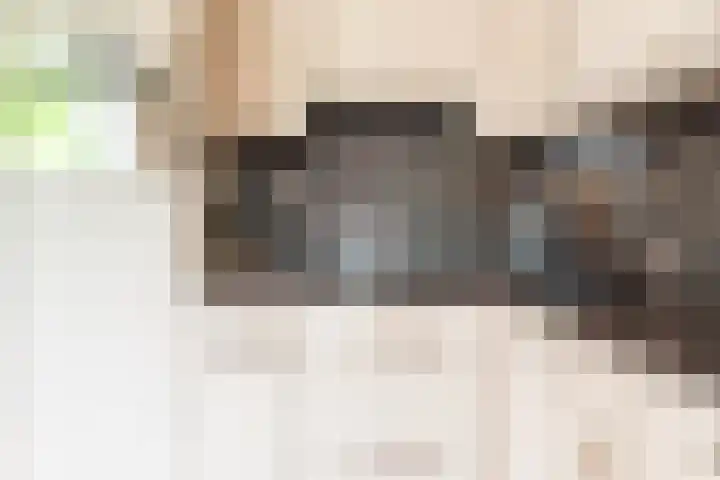 Goudrenet 1 Geldermalsen thumbnail 18