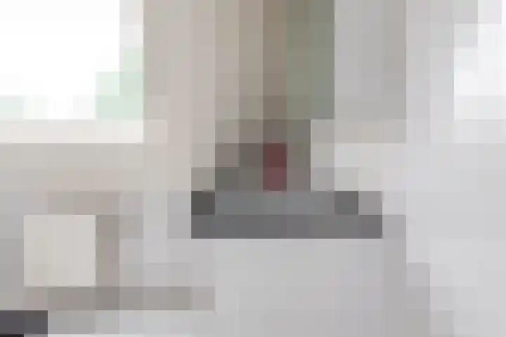 Goudrenet 1 Geldermalsen thumbnail 26