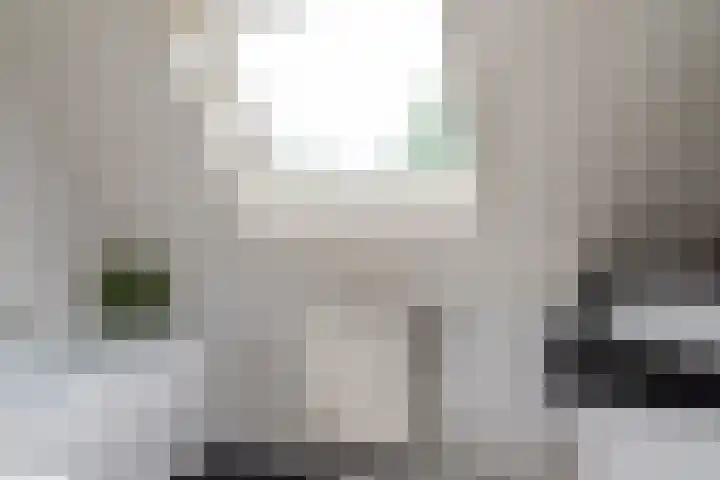 Goudrenet 1 Geldermalsen thumbnail 27