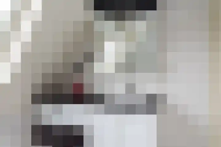 Goudrenet 1 Geldermalsen thumbnail 28