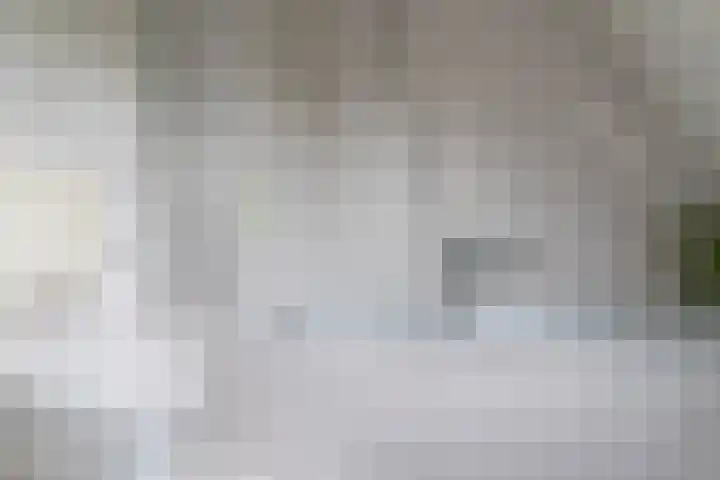 Goudrenet 1 Geldermalsen thumbnail 29