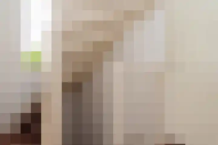 Goudrenet 1 Geldermalsen thumbnail 31