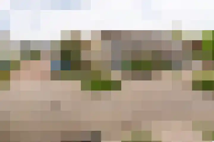 Goudrenet 1 Geldermalsen thumbnail 32