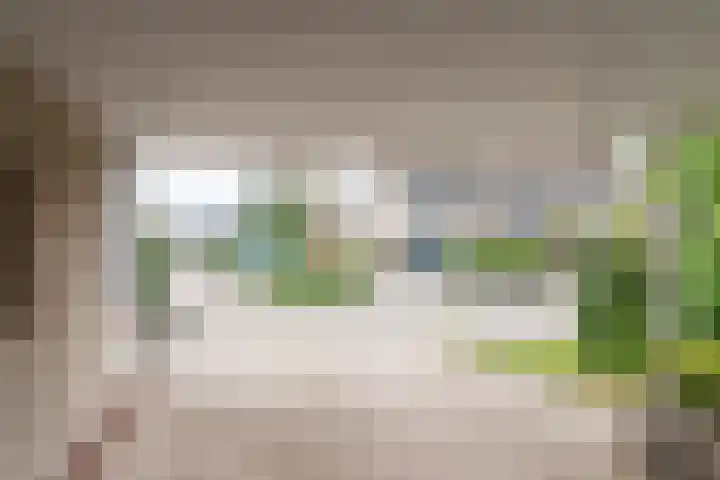 Goudrenet 1 Geldermalsen thumbnail 35