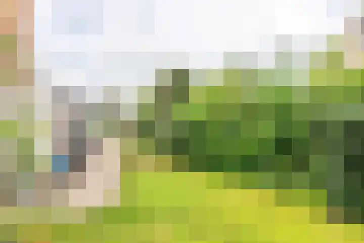 Goudrenet 1 Geldermalsen thumbnail 37