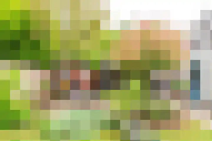 Goudrenet 1 Geldermalsen thumbnail 38