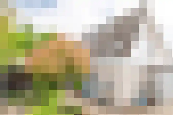 Goudrenet 1 Geldermalsen thumbnail 39