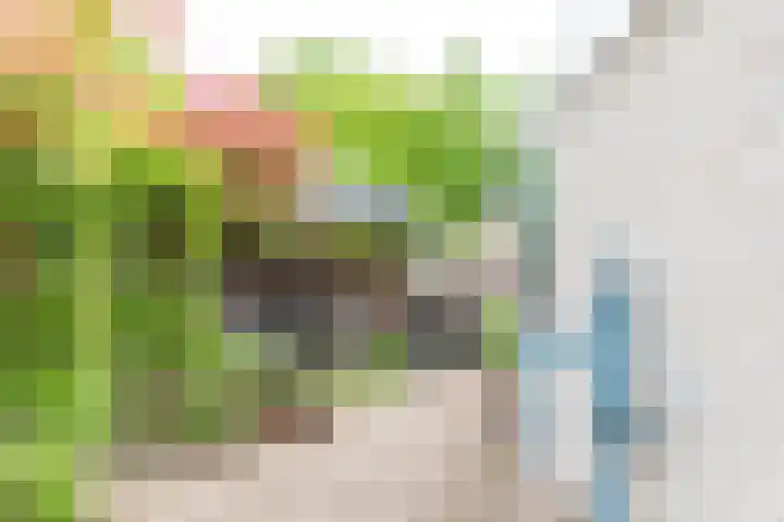 Goudrenet 1 Geldermalsen thumbnail 40