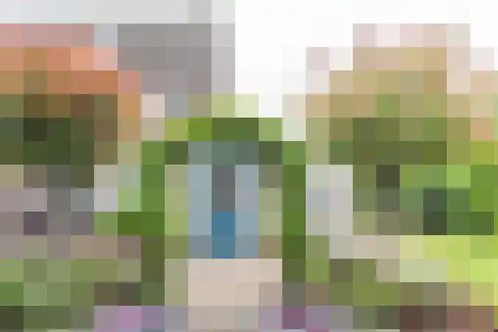 Goudrenet 1 Geldermalsen thumbnail 41