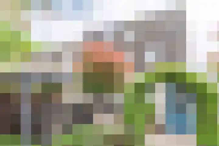 Goudrenet 1 Geldermalsen thumbnail 42