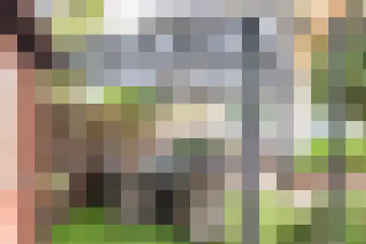 Goudrenet 1 Geldermalsen thumbnail 43