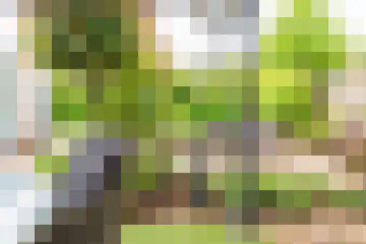 Goudrenet 1 Geldermalsen thumbnail 44