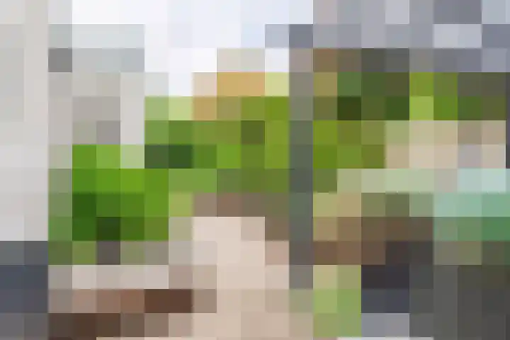 Goudrenet 1 Geldermalsen thumbnail 45