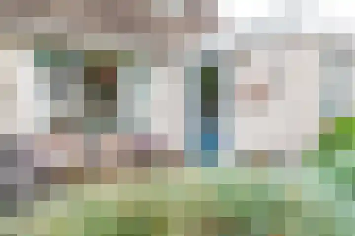 Goudrenet 1 Geldermalsen thumbnail 46