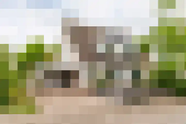 Goudrenet 1 Geldermalsen thumbnail 47