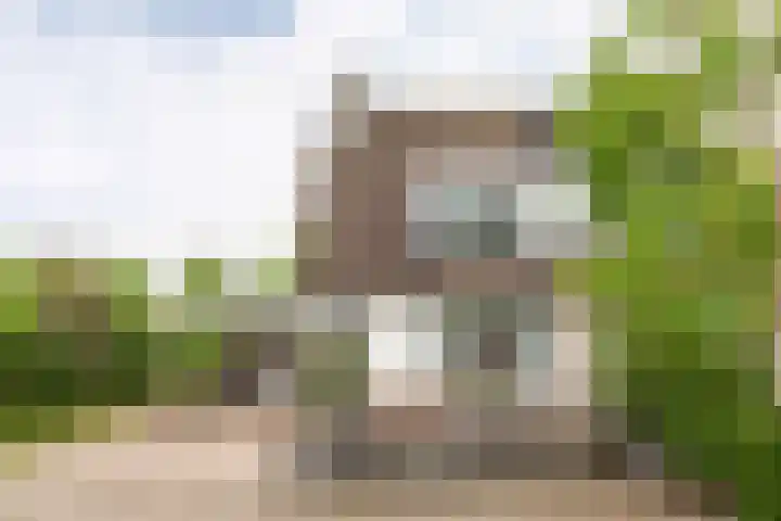 Goudrenet 1 Geldermalsen thumbnail 48