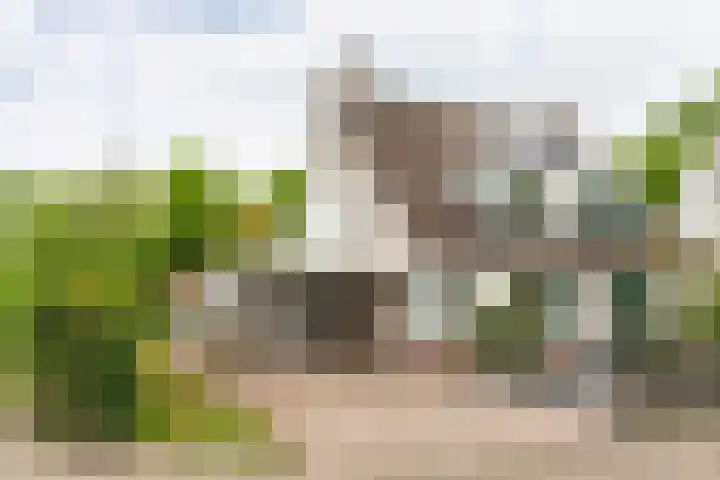 Goudrenet 1 Geldermalsen thumbnail 5