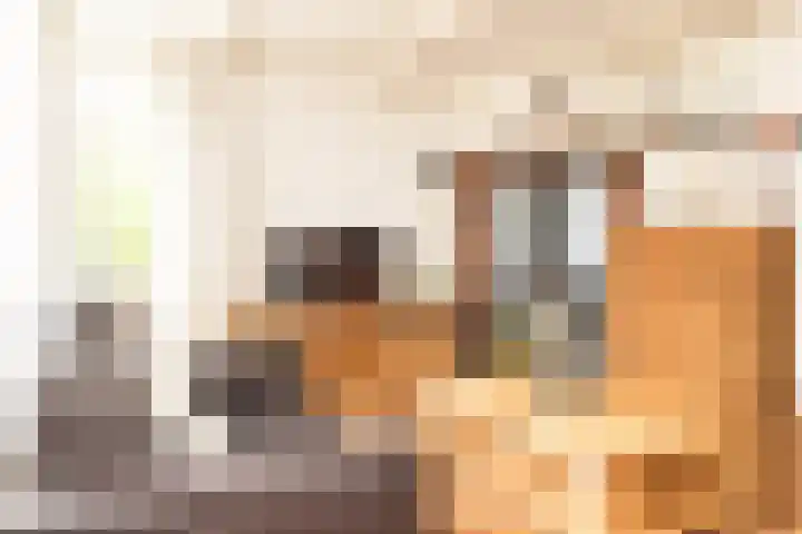 Goudrenet 1 Geldermalsen thumbnail 52