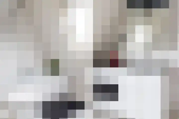 Goudrenet 1 Geldermalsen thumbnail 61