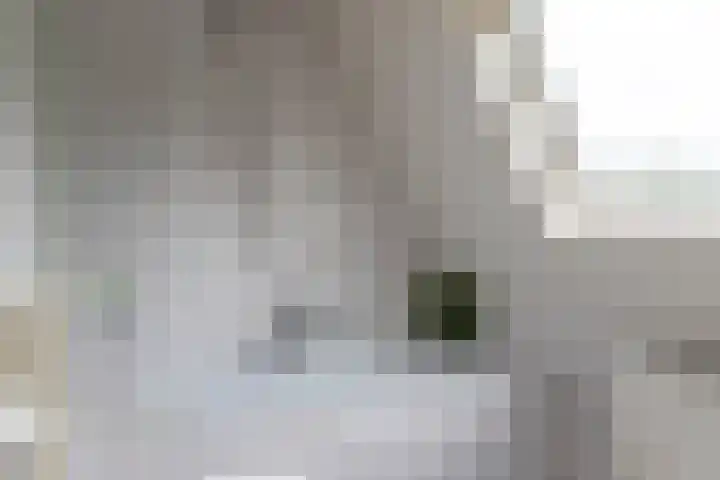 Goudrenet 1 Geldermalsen thumbnail 62