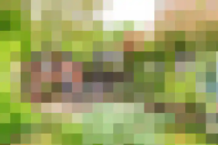 Goudrenet 1 Geldermalsen thumbnail 66