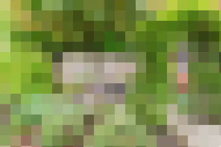 Goudrenet 1 Geldermalsen thumbnail 67