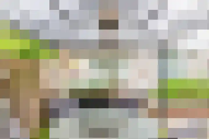 Goudrenet 1 Geldermalsen thumbnail 68