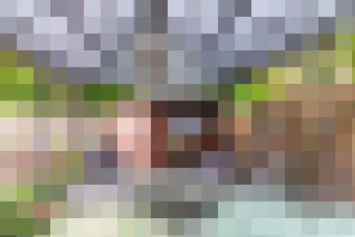 Goudrenet 1 Geldermalsen thumbnail 69