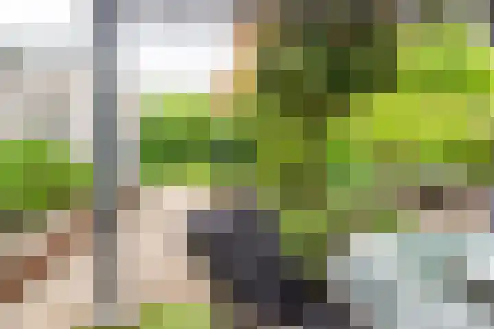 Goudrenet 1 Geldermalsen thumbnail 70