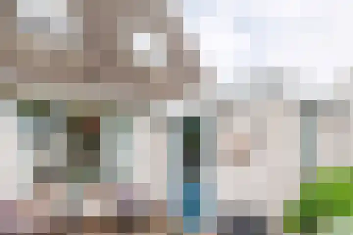 Goudrenet 1 Geldermalsen thumbnail 71