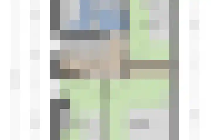 Goudrenet 1 Geldermalsen thumbnail 74