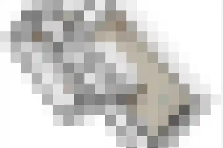 Goudrenet 1 Geldermalsen thumbnail 77