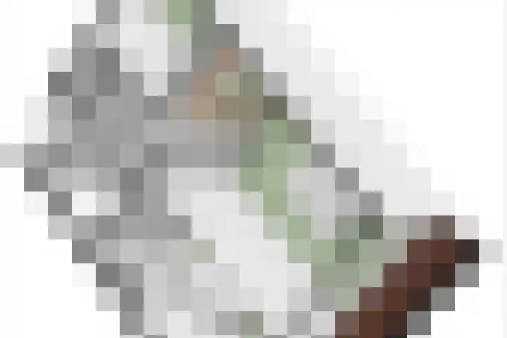 Goudrenet 1 Geldermalsen thumbnail 78