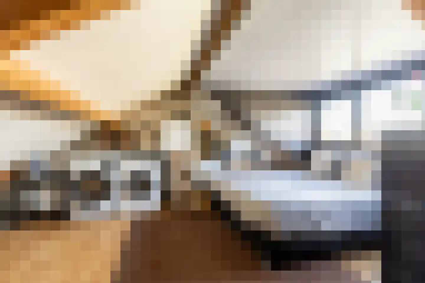 Goudrenet 10 Oirschot thumbnail 24
