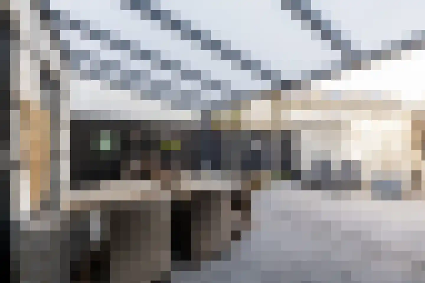 Goudrenet 10 Oirschot thumbnail 26