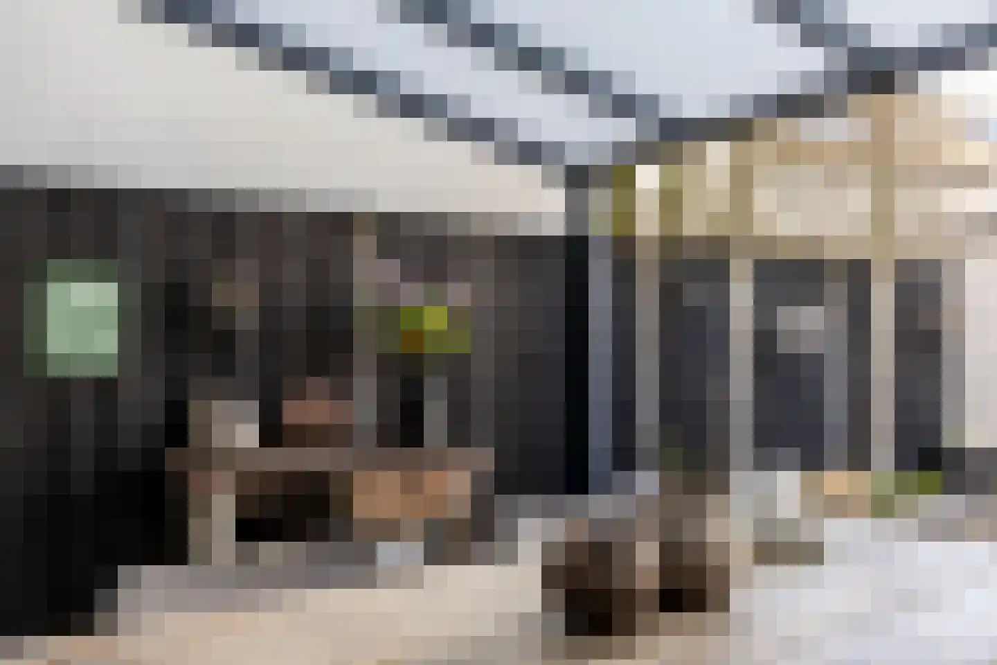 Goudrenet 10 Oirschot thumbnail 28