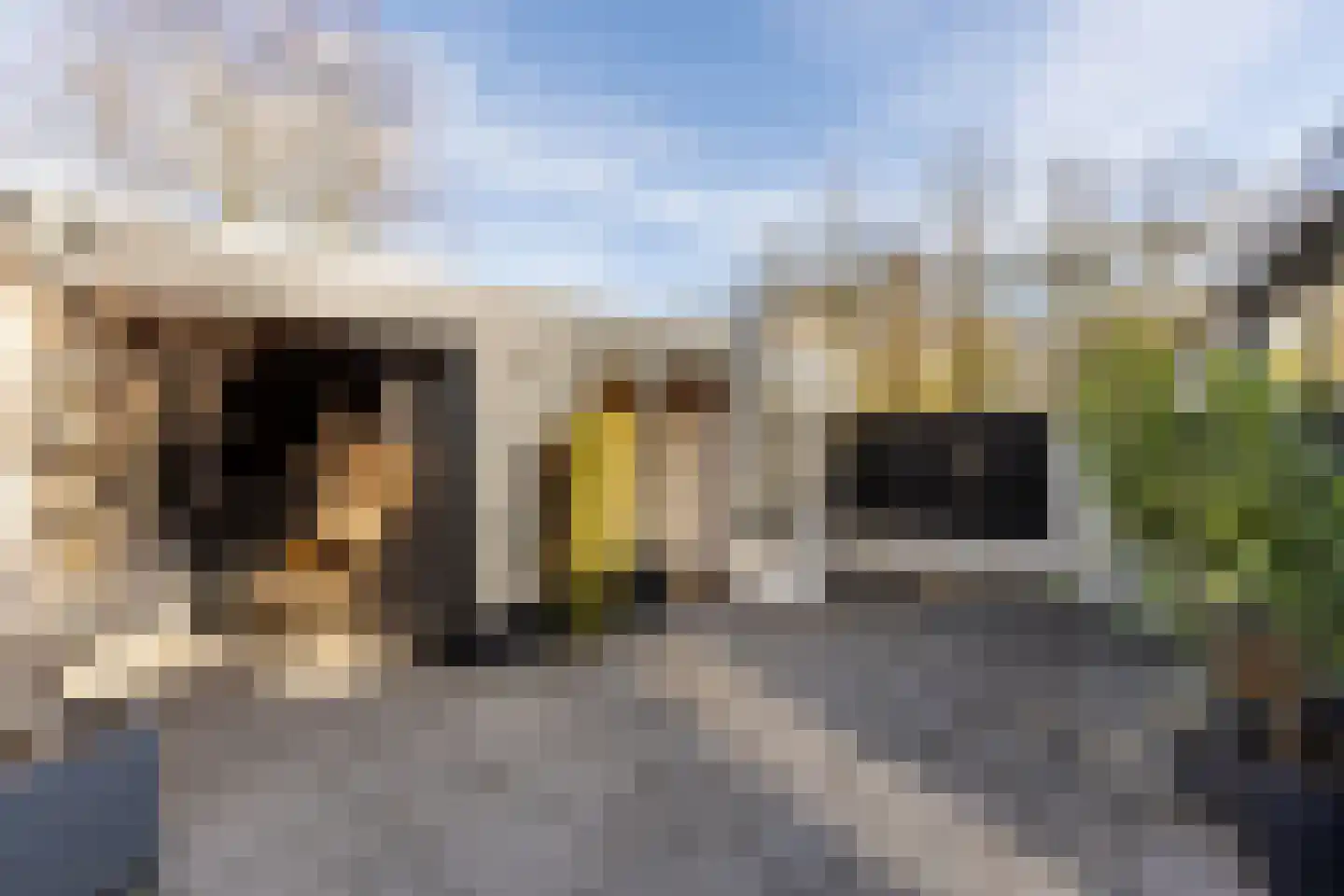 Goudrenet 10 Oirschot thumbnail 30