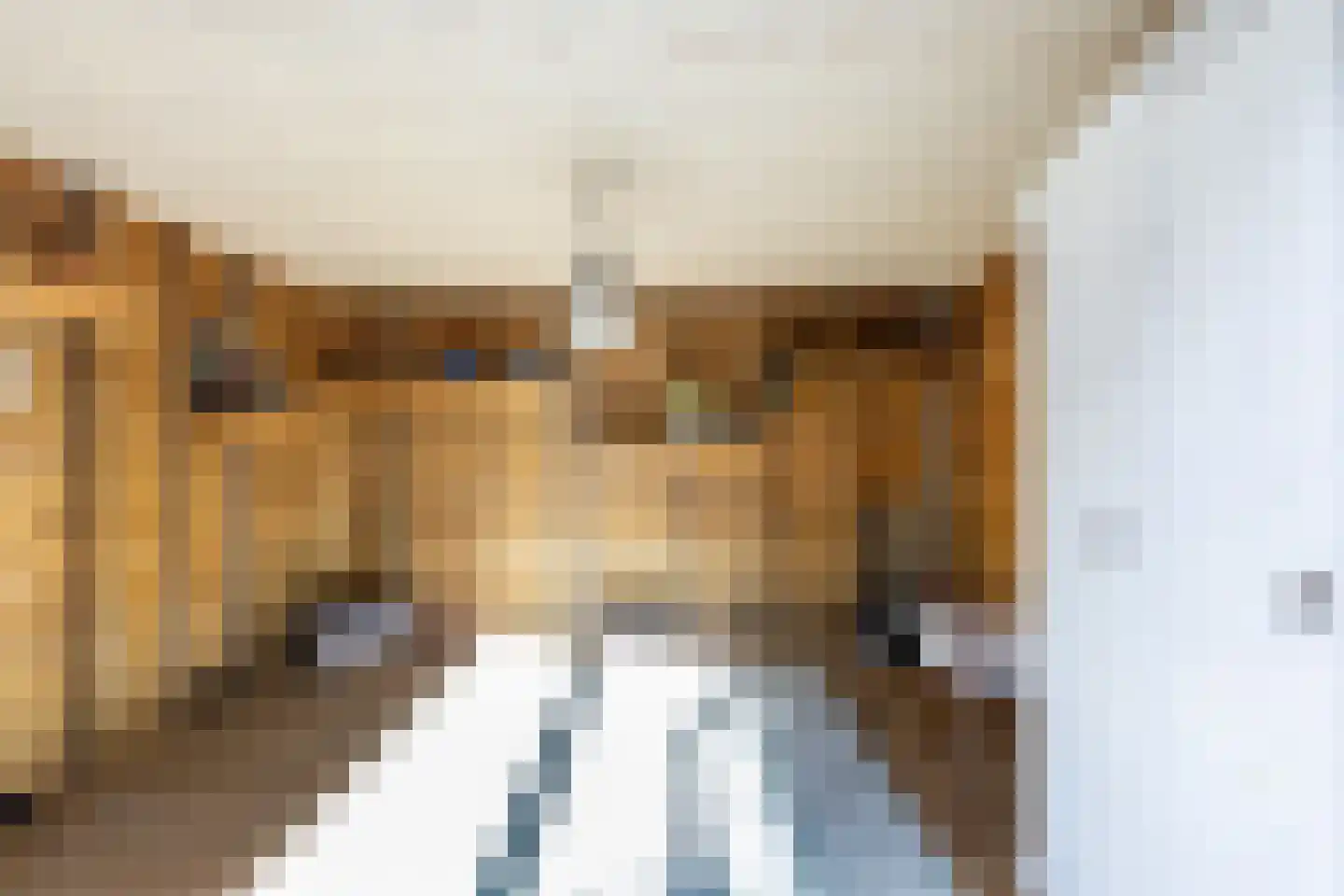 Goudrenet 10 Oirschot thumbnail 32