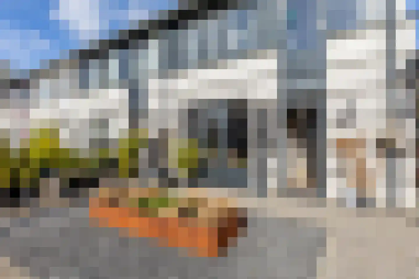 Goudrenet 10 Oirschot thumbnail 6