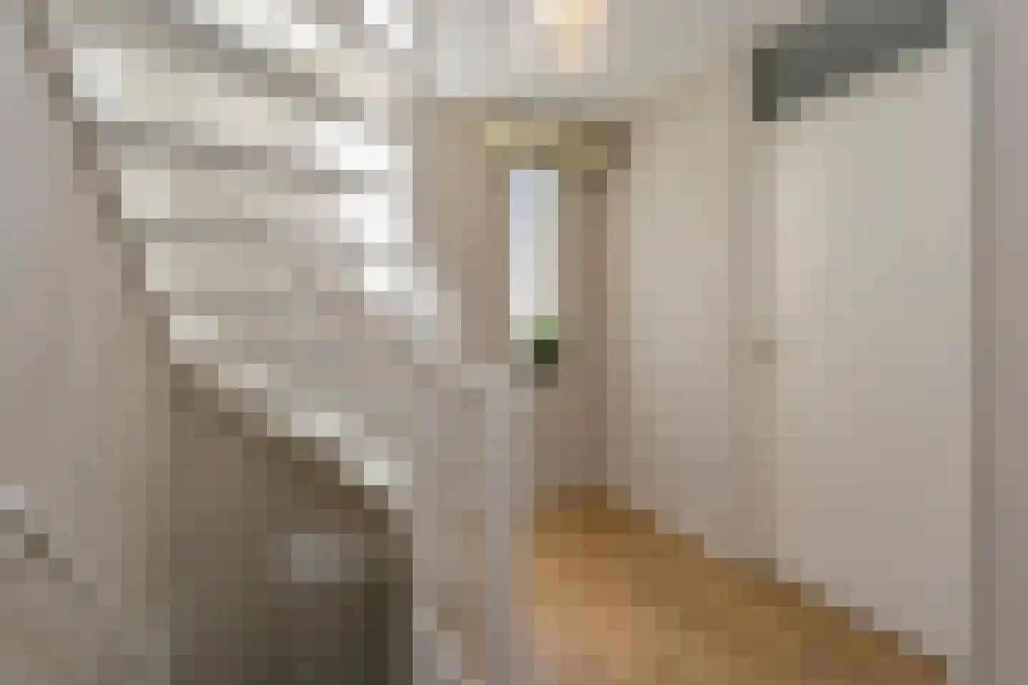 Goudrenet 11 Oirschot thumbnail 19