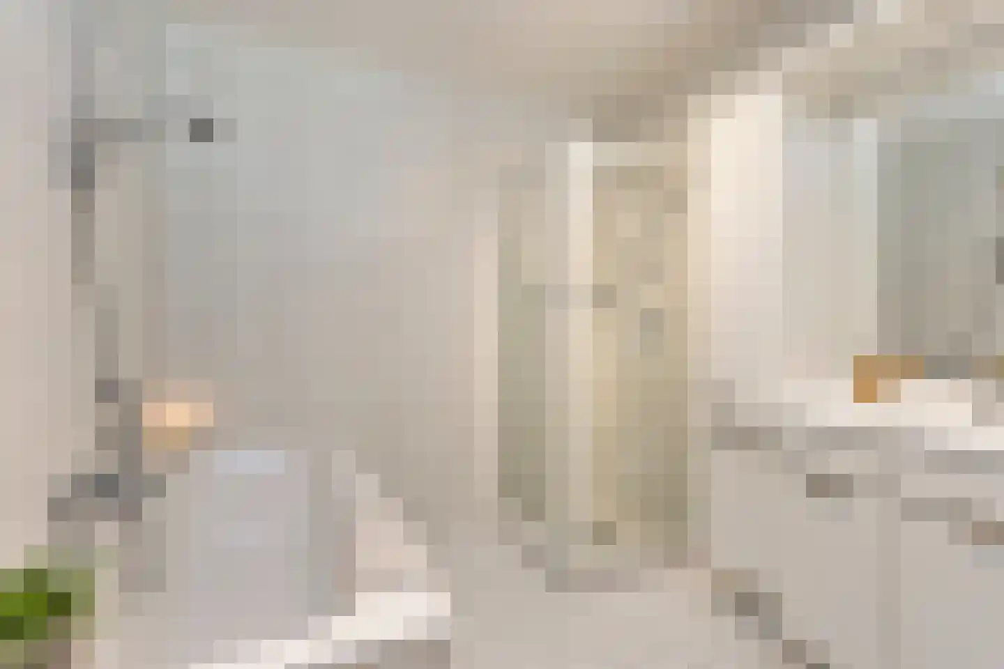 Goudrenet 11 Oirschot thumbnail 24