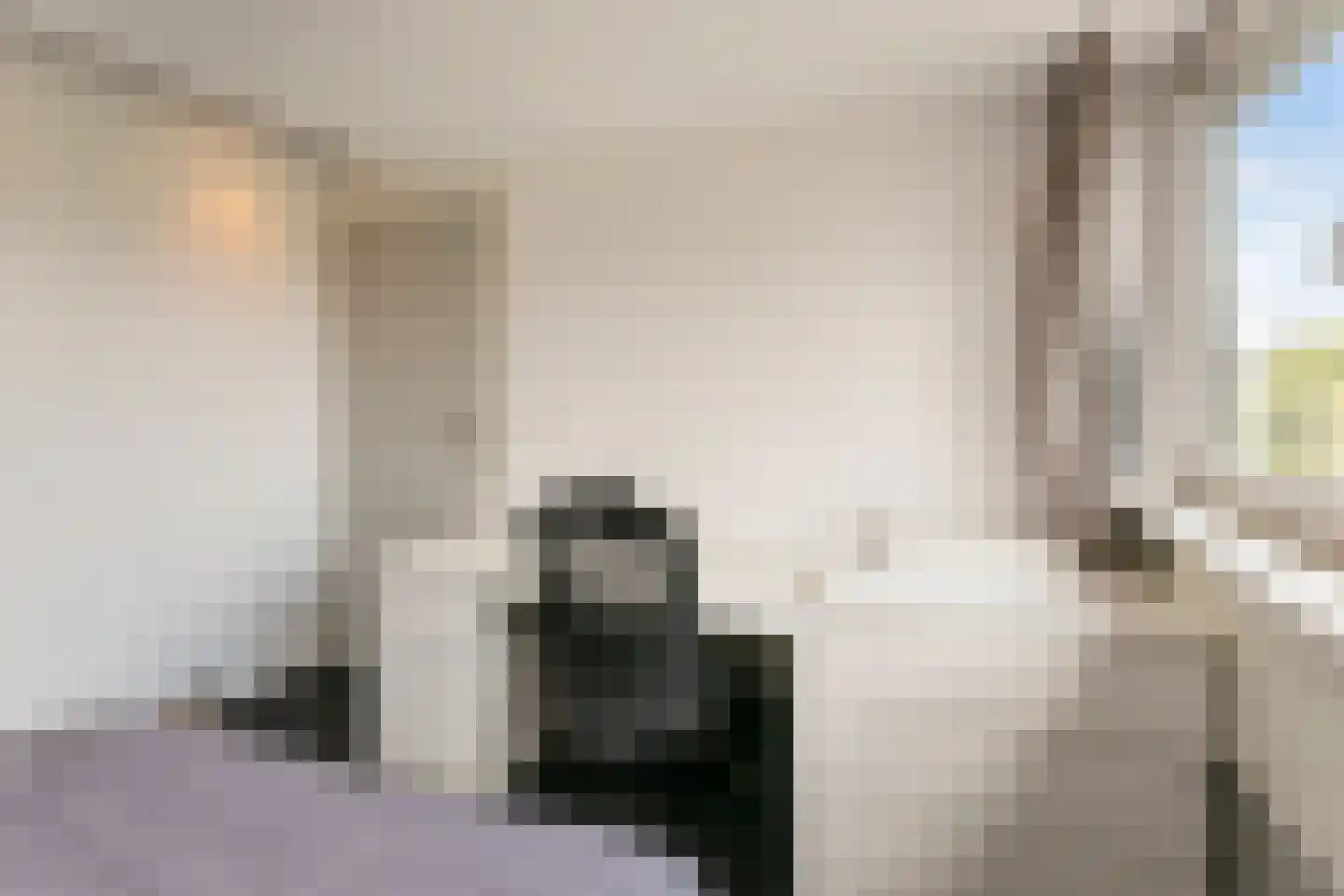 Goudrenet 11 Oirschot thumbnail 29