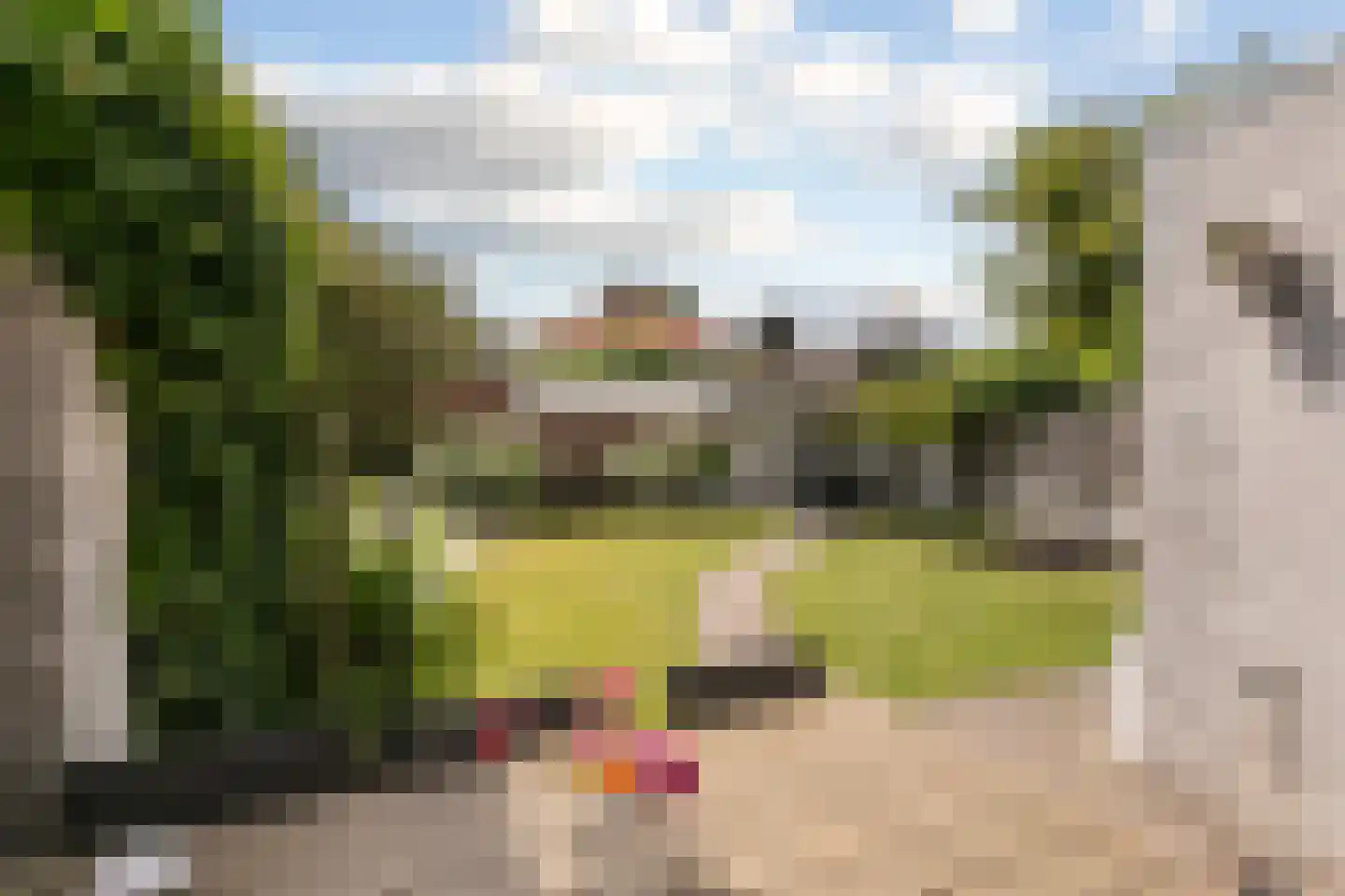 Goudrenet 11 Oirschot thumbnail 32