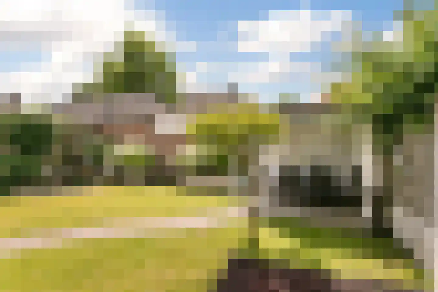 Goudrenet 11 Oirschot thumbnail 35
